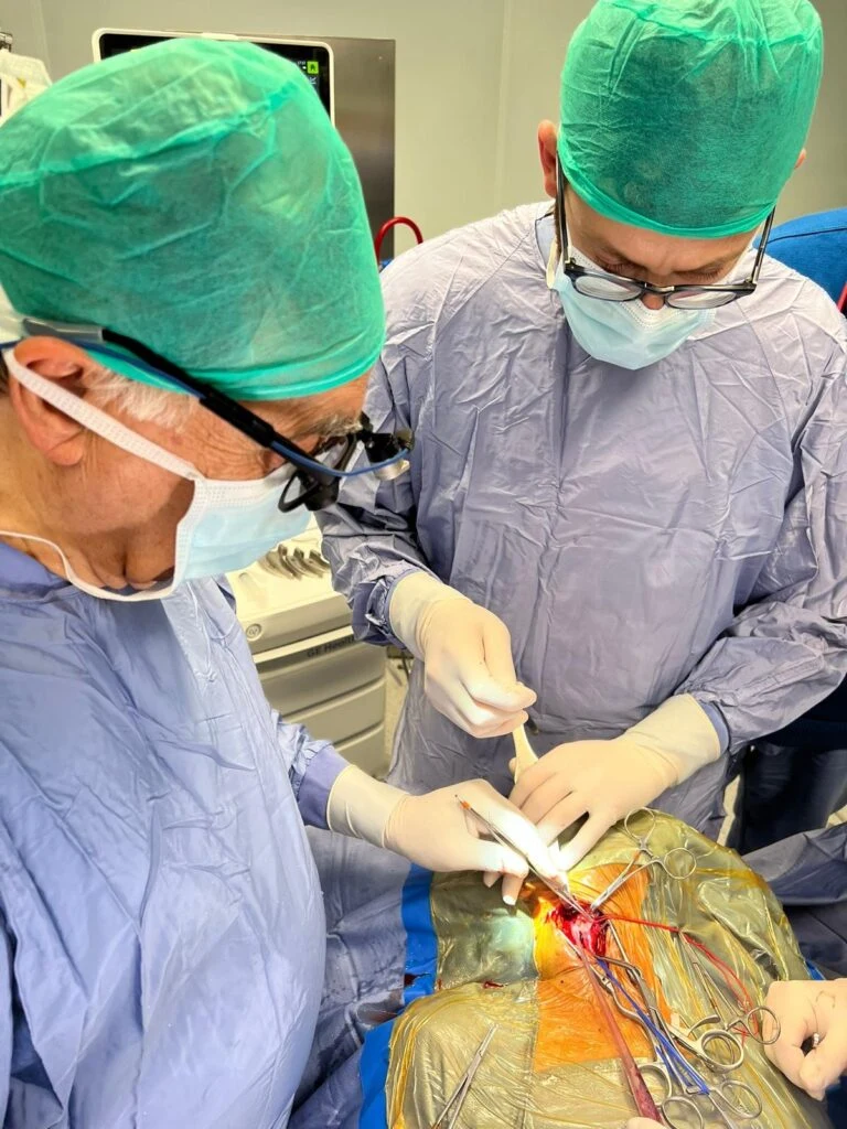 Immagine di approfondimento: Endoarterioctomia Carotidea con il monitoraggio cerebrale intra operatorio